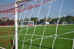 Campo sintetico
