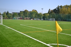 Campo sintetico