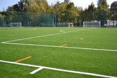 Campo sintetico