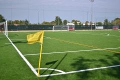 Campo sintetico